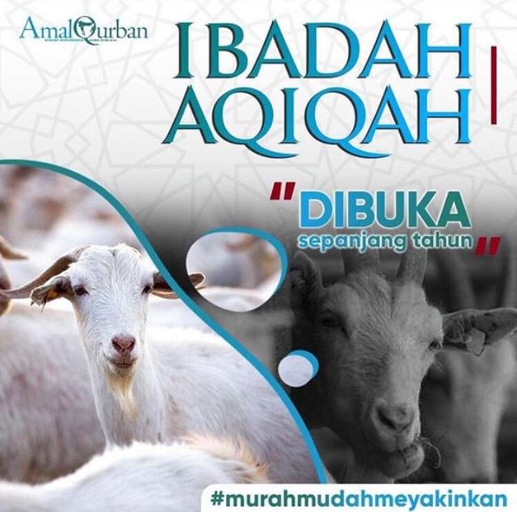 Amal Qurban Amal Qurban